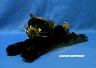 black cat plush stuffed animal toy